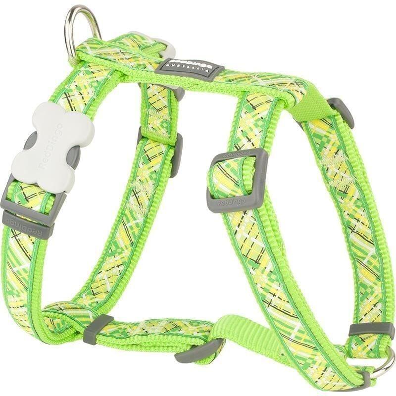 25 mm (L) - Lime