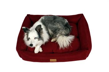 Dubex Cookie Kedi Köpek Yatağı Kırmızı XSmall 50x40x17 cm