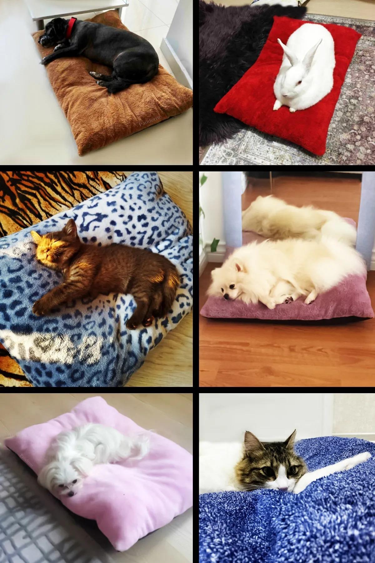 Patiderm Peluş Kedi ve Köpek Yatağı Yer Minderi - Karışık Renk