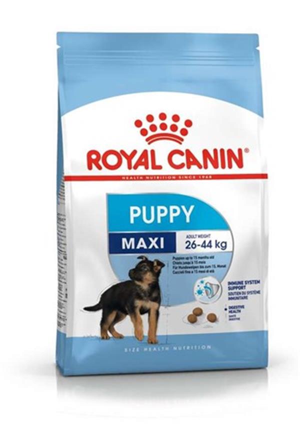 Royal Canin Maxi Puppy Büyük Irk Yavru Köpek Maması 10 Kg - 3182550778305