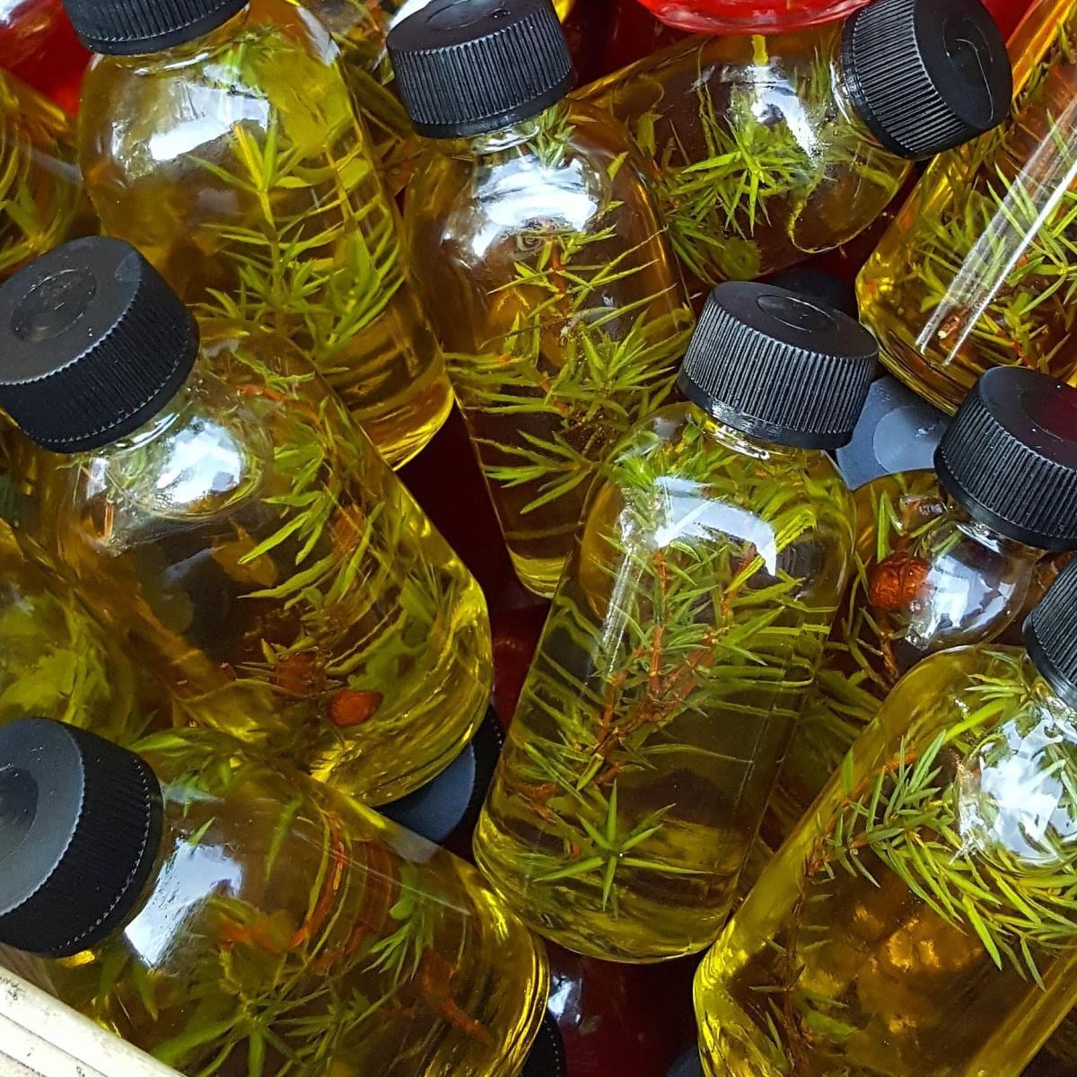 Ardıç Yağı (50 cc)