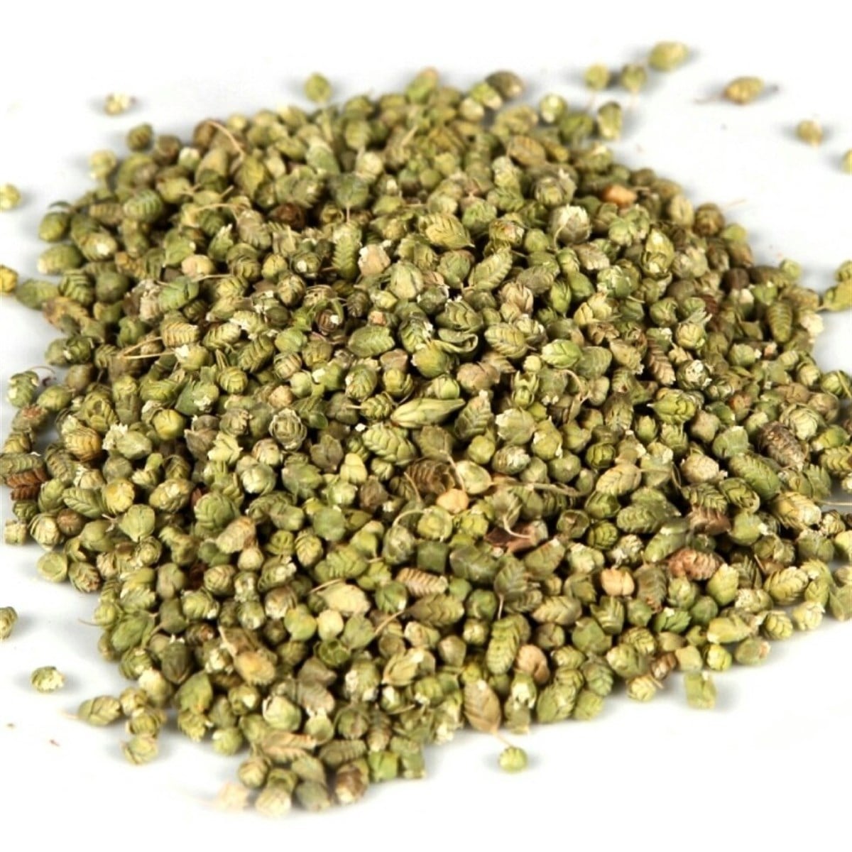 Tohum Kekik (100 Gr.)