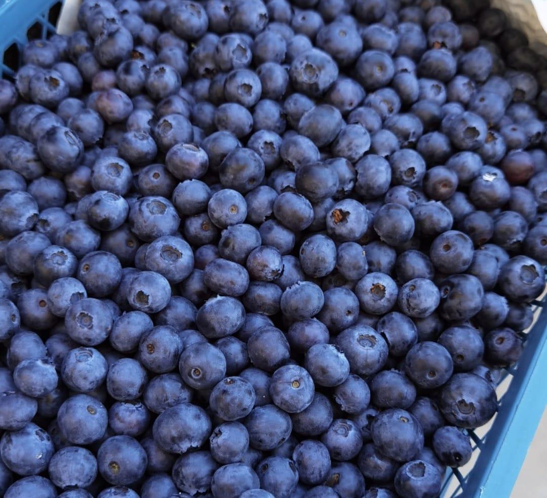 Yaban Mersini (500 gr ) 