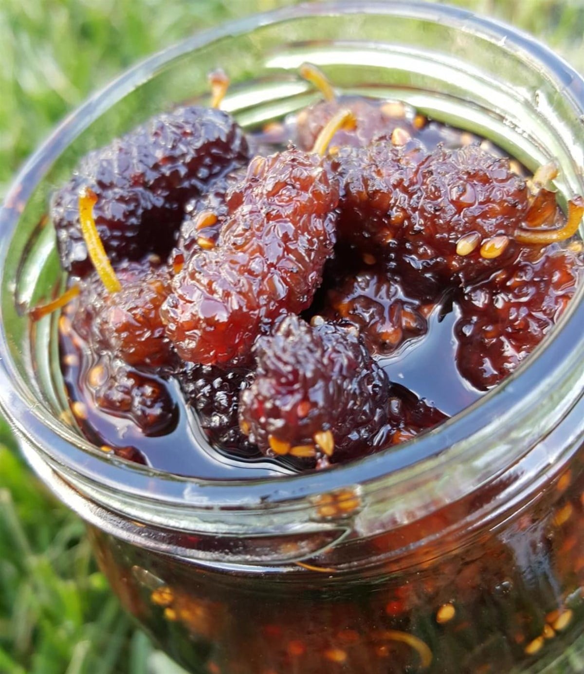 Beyazdut Reçeli (450gr)