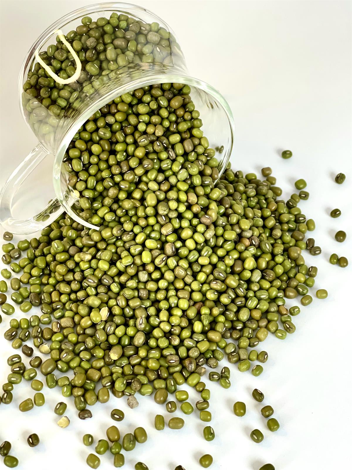 MAŞ FASÜLYESİ (500 GR ) 