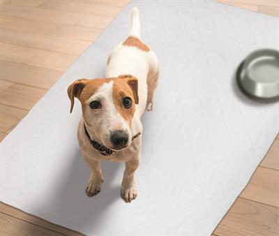 Sıvı Emici Evcil Hayvan Pedi