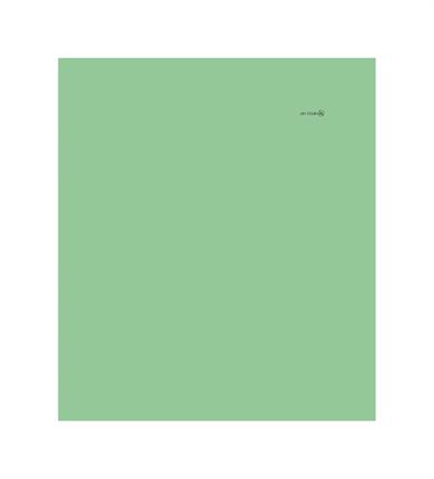 Kare Desenli Yeşil Saçaklı Paşmina Eşarp 109x125