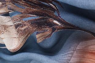 Sonbahar Desenli Petrol Pamuklu Şal