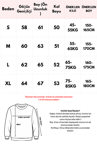 Vizon Polo Yaka Çizgili Kadın Triko Kazak Mg2469