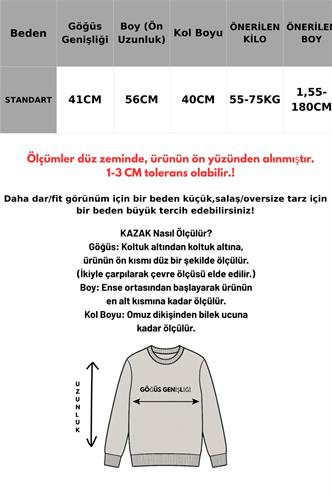 Bej Balıkçı Yaka Örme Triko Kazak MG2172