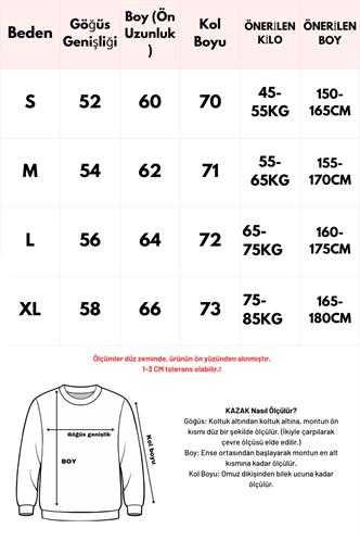 Vizon Rengi Bisiklet Yaka Desenli Kadın Triko Kazak Mg2502
