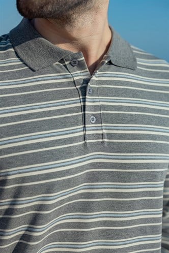 Gri Regular Fit Çizgili Polo Yaka Erkek Tişört E7192
