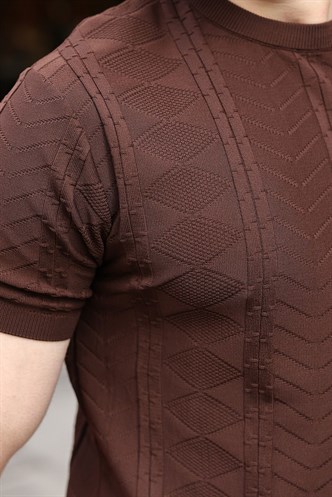 Kahverengi Bisiklet Yaka Slim Fit Triko Erkek Tişört E7466