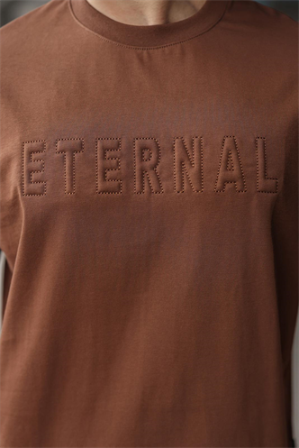 Kahverengi Erkek Şort T-shirt Takım E7347