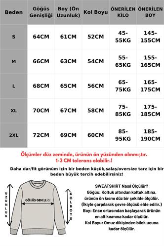 Boyalı Gri Bisiklet Yaka Basic Sweatshirt MG2185