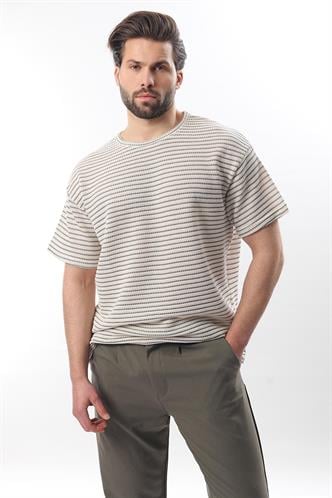 Gri Bisiklet Yaka Pamuklu Çizgili Erkek T-shirt E7121