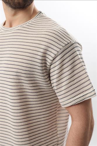 Gri Bisiklet Yaka Pamuklu Çizgili Erkek T-shirt E7121