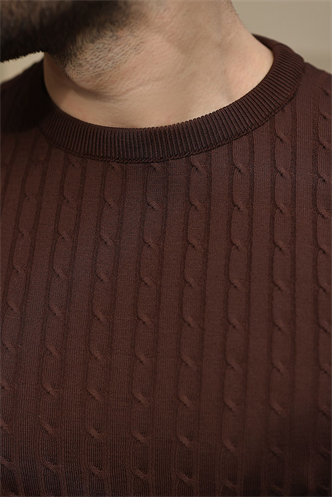 Kahverengi Bisiklet Yaka Triko Erkek Tişört E7468