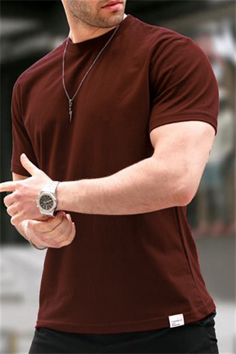 Acı Kahverengi Regular Fit Basic Erkek Tişört 6131