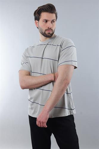 Boyalı Gri Bisiklet Yaka Basic Çizgili Erkek T-shirt E7102