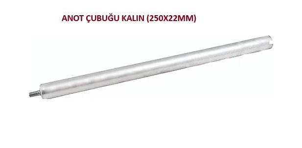 ANOT ÇUBUĞU KALIN (250X22MM)