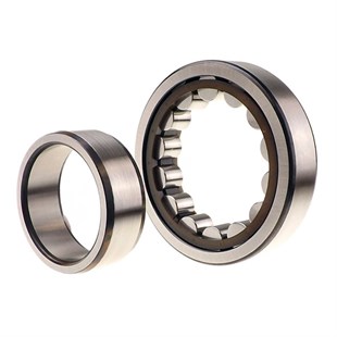 RULMAN NU220 TVH (100X180X34) ZKL