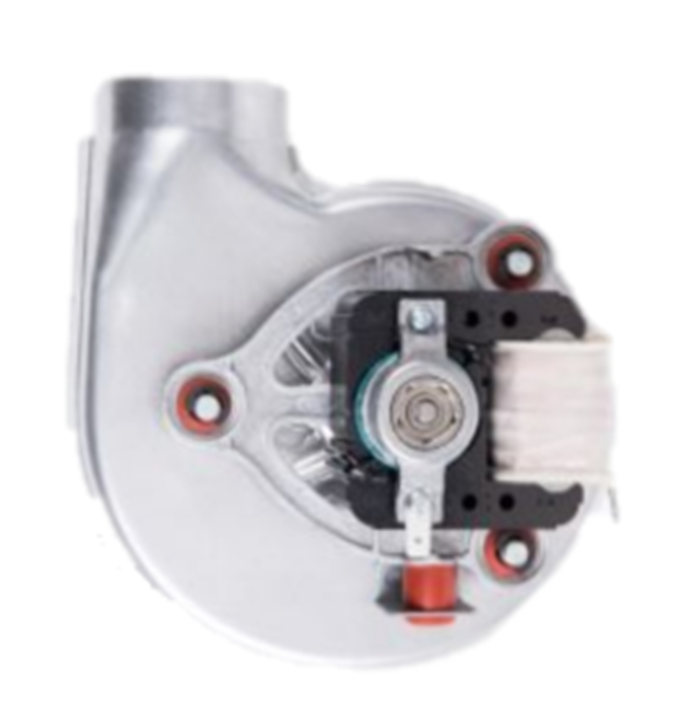Sohon BAXİ Falke Lambert 53W