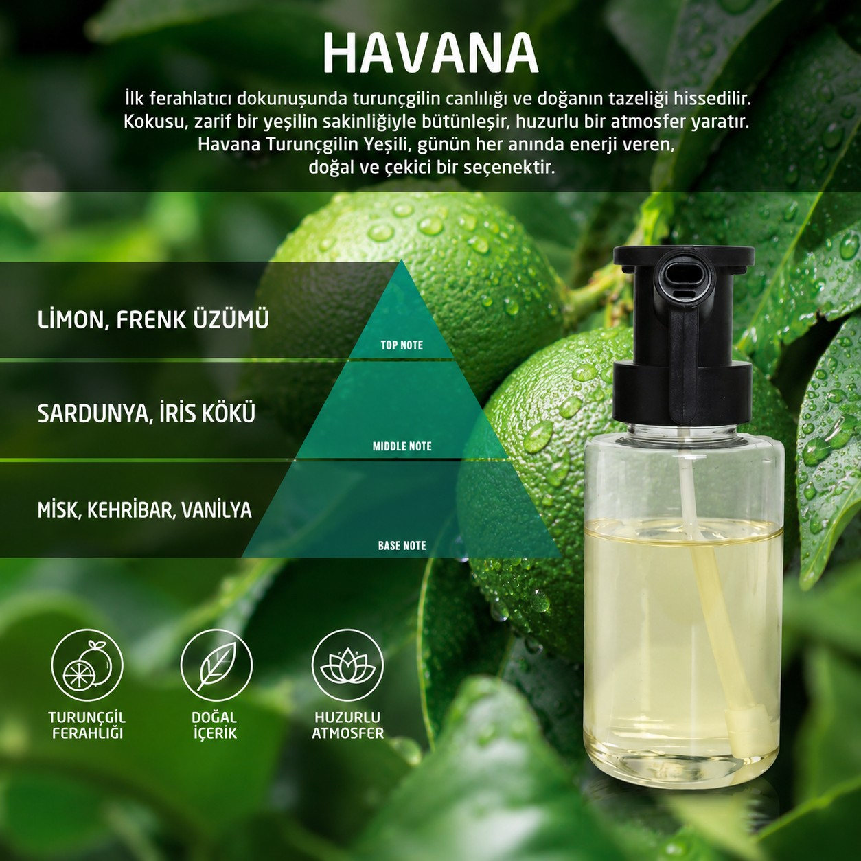 200434 Oda Kukulandırması Havana Koku Kartuşu (150 ml)