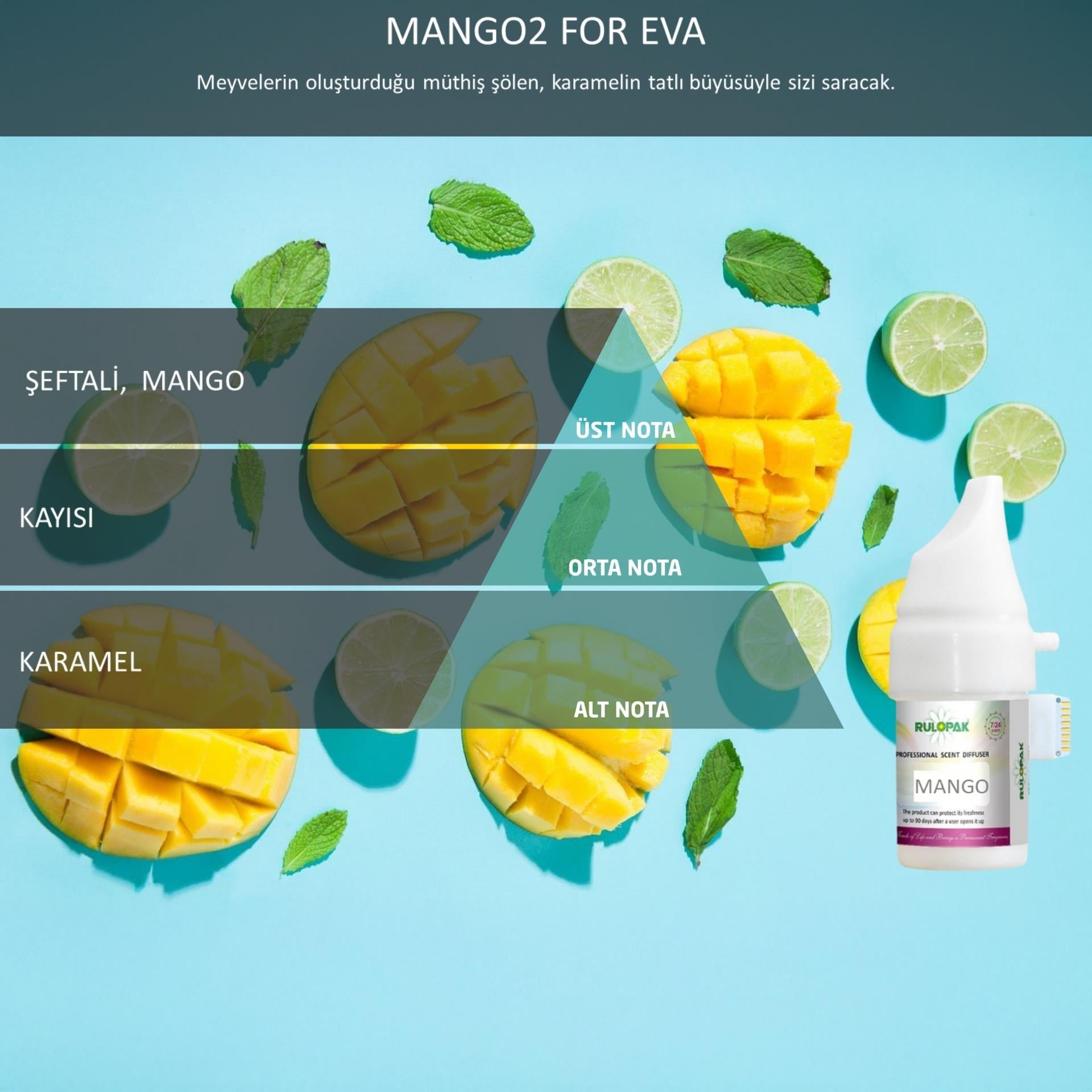 Rulopak 200567 160 Mango Koku Kartuşu