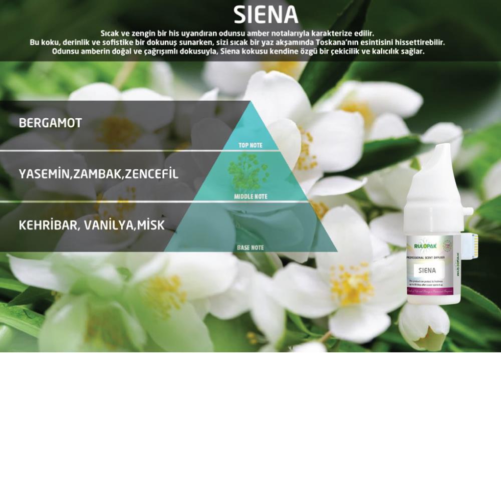 Rulopak Cosmic M5 Siena Koku Kartuşu 100 ml