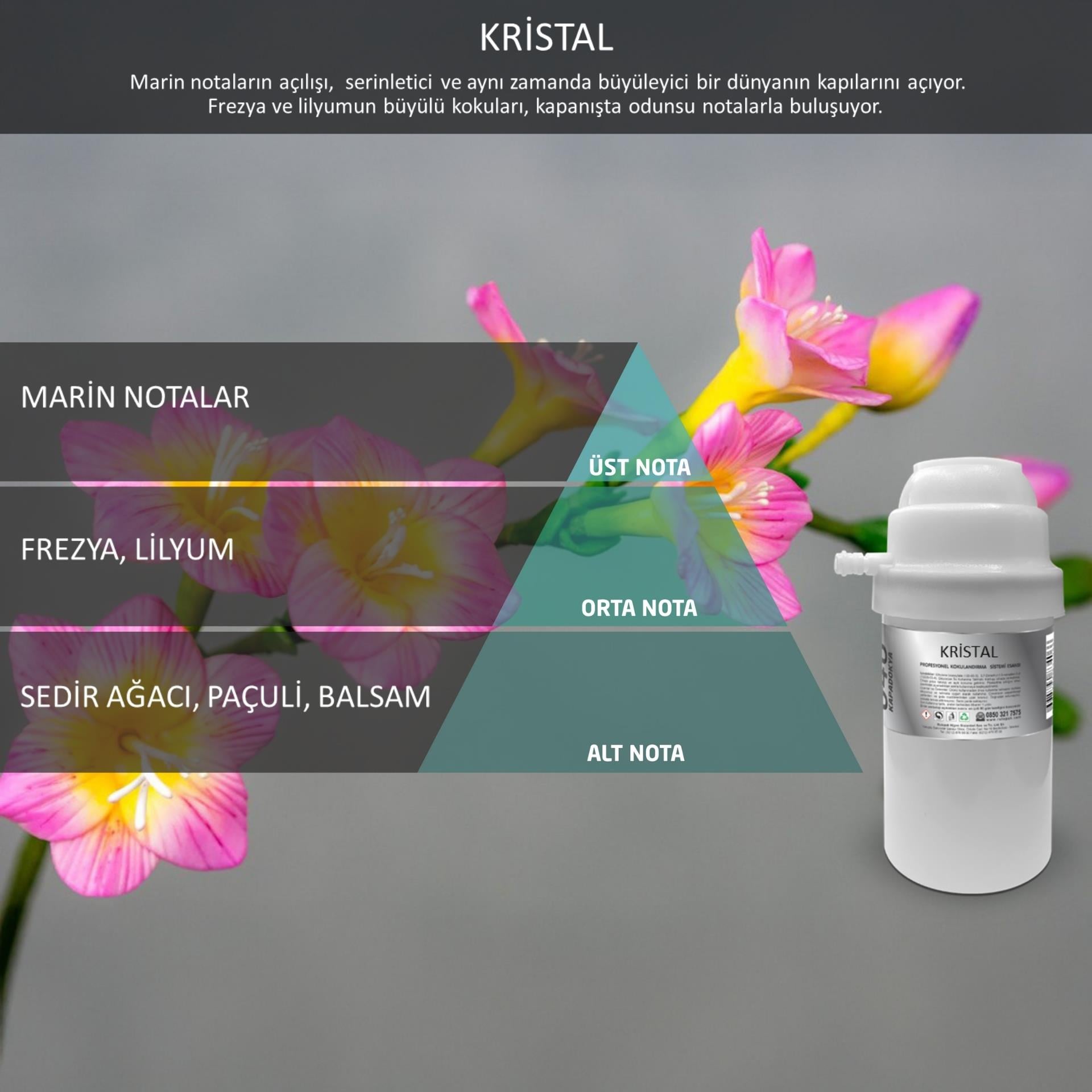 Rulopak Nanoplus M7 Kristal Koku Kartuşu 100 ml