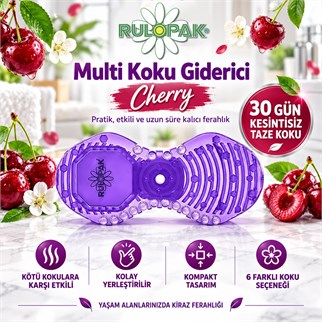 200819 MULTİ Koku Giderici (Cherry)