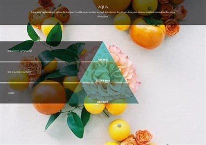 Rulopak Nanoplus M7 Aqua Koku Kartuşu 100 ml