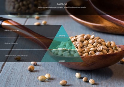 Rulopak Nanoplus M7 Paradiso Koku Kartuşu 200 ml