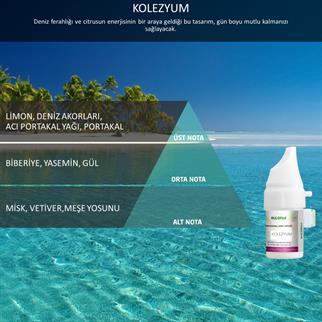 Rulopak 200509 377 Kolezyum Koku Kartuşu