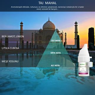 Rulopak 200522 122 Taj Mahal Koku Kartuşu 100 ML