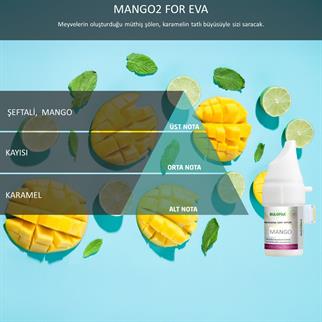 Rulopak 200567 160 Mango Koku Kartuşu