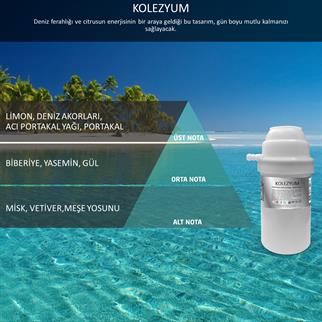 Rulopak 200709 M7 377 Kolezyum Koku Kartuşu (200 ml)