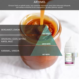 Rulopak Cosmic M5 Artemis Koku Kartuşu 100 ml