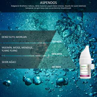 Rulopak Cosmic M5 Aspendos Koku Kartuşu 100 ml