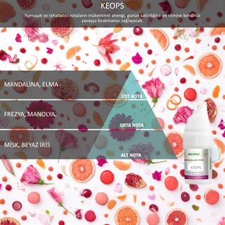 Rulopak Cosmic M5 Keops Koku Kartuşu 100 ml