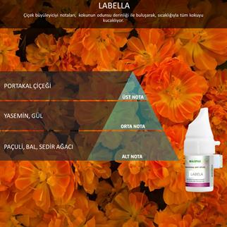 Rulopak Cosmic M5 Labella Koku Kartuşu 100 ml