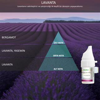 Rulopak Cosmic M5 Lavanta Koku Kartuşu 100 ml