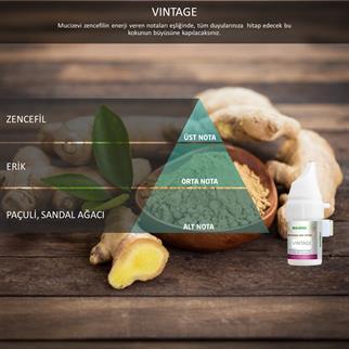 Rulopak Cosmic M5 Vintage Koku Kartuşu 100 ml