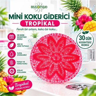 Rulopak Mini Koku Giderici Tropikal