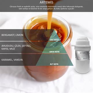 Rulopak Nanoplus M7 Artemis Koku Kartuşu 100 ml