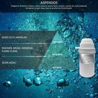 Rulopak Nanoplus M7 Aspendos Koku Kartuşu 100 ml