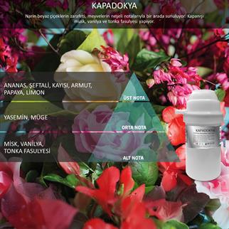 Rulopak Nanoplus M7 Kapadokya Koku Kartuşu 100 ml