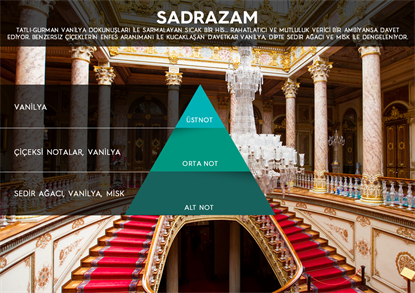 Rulopak Nanoplus M7 Sadrazam Koku Kartuşu 200 ml