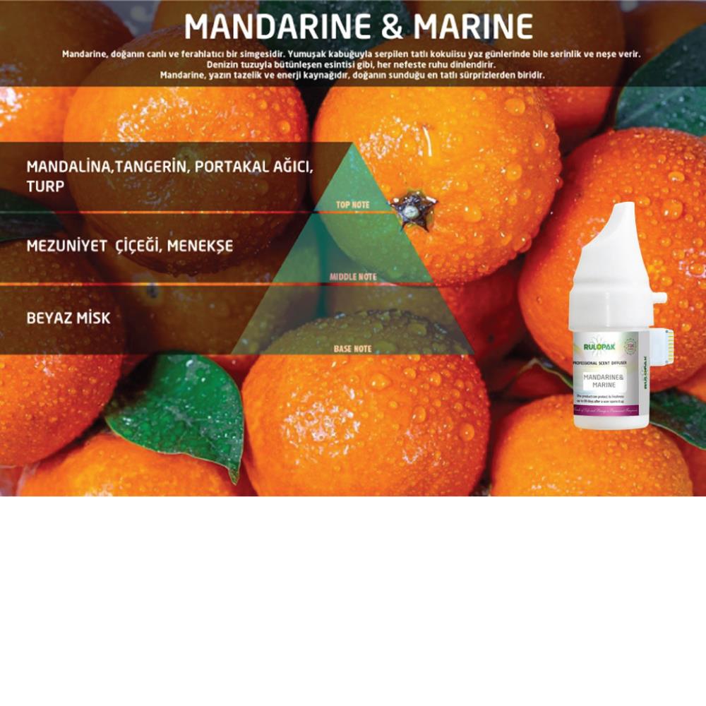 200537 Rulopak 802 Mandarine Marine Koku Kartuşu